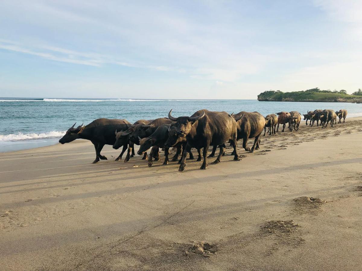 Sumba Beach House Waikabubak Luaran gambar